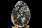 Septarian Dragon Egg Geode - Black Crystals #78545-2
